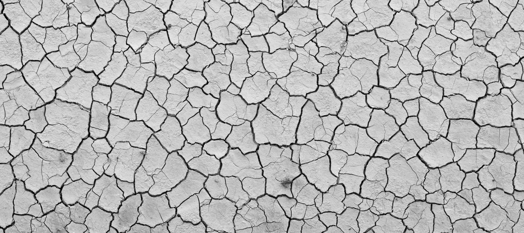 close-up of dry surface, resembling the effect of hard water on skim and hair
